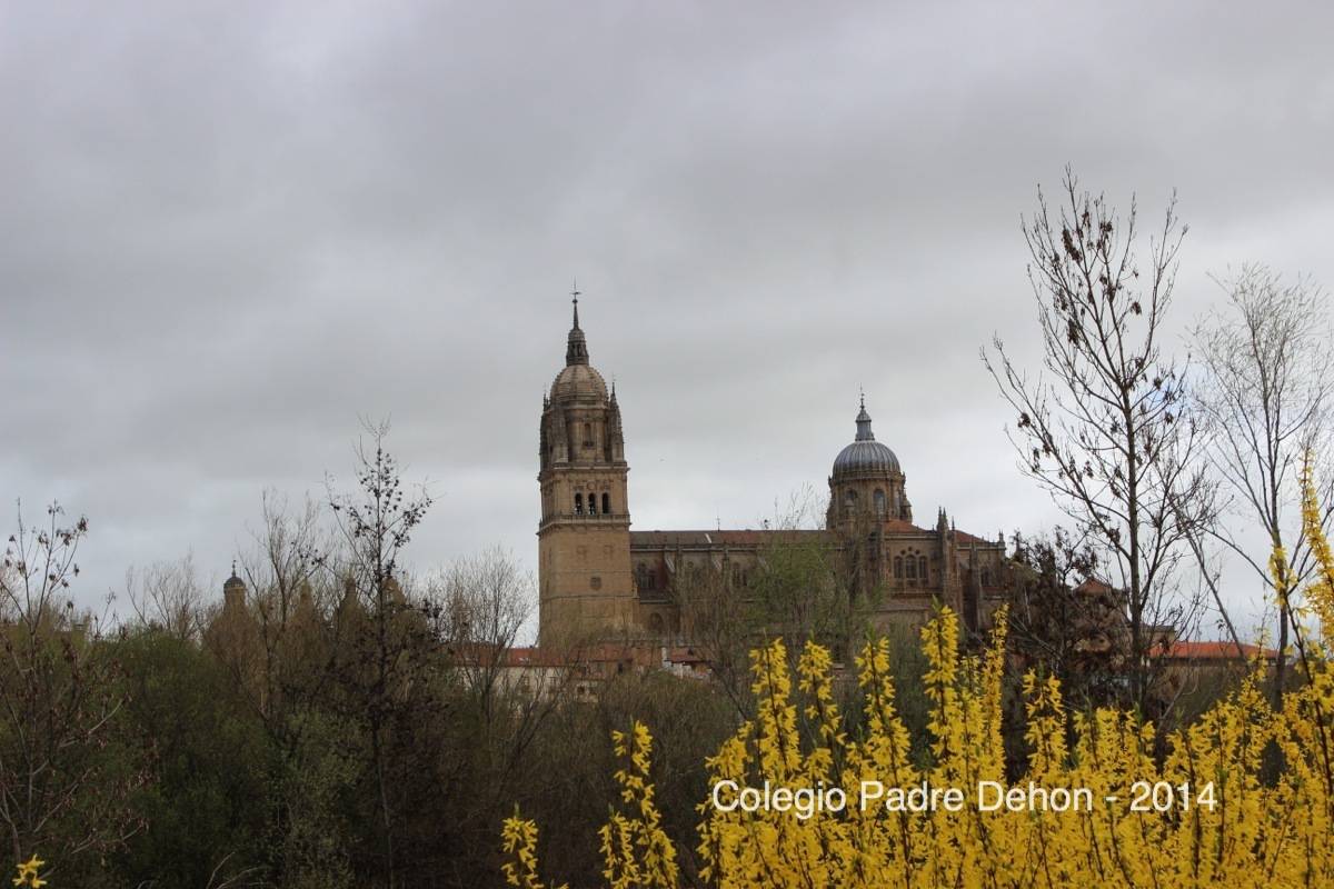 2014 03 22 SALAMANCA (10)